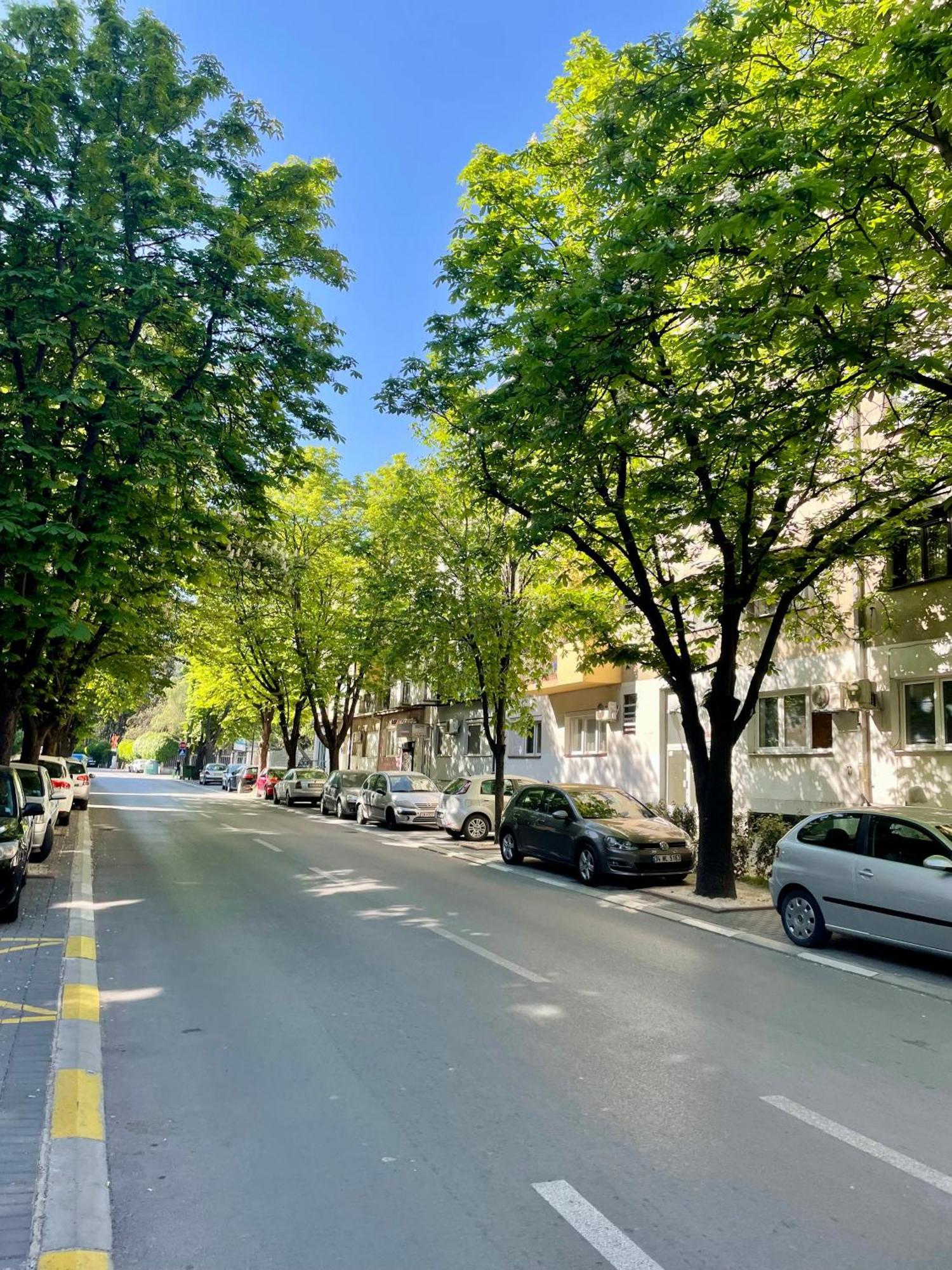 Luxury City Center Apartment Skopje Exteriér fotografie